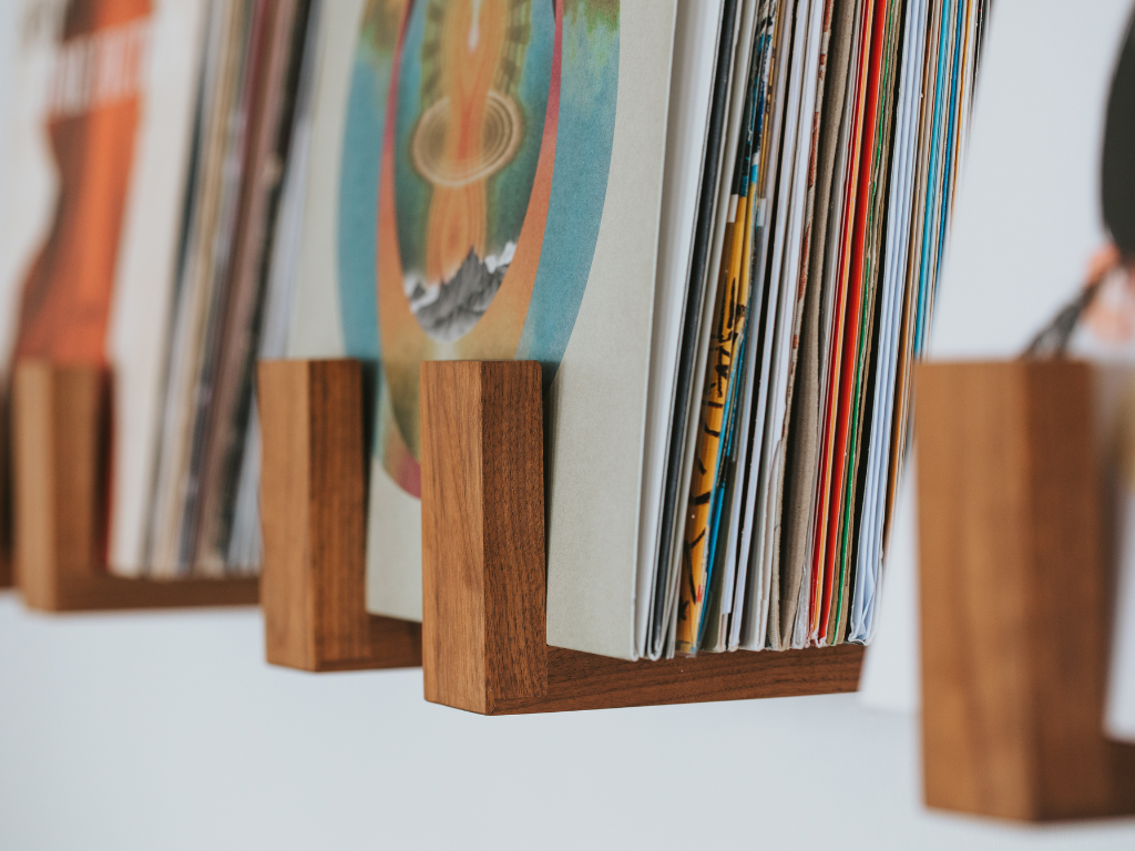 Wall mounted vinyl record holders