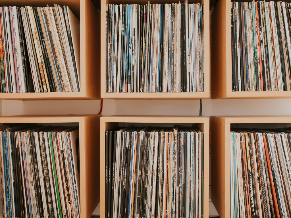 Record Storage Shelves