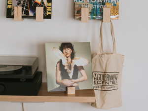 Tabletop Record Stand